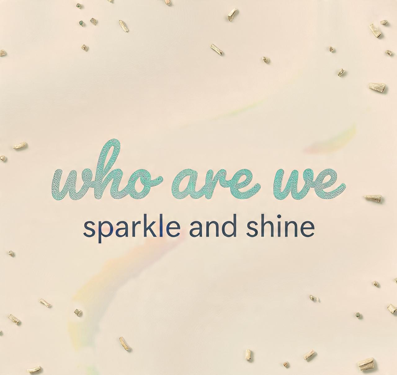 Sparkle and Shine professional cleaning team